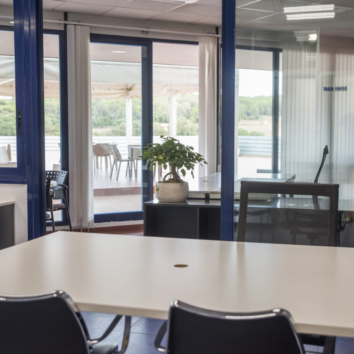 Interior d’un espai de treball lluminós amb taules, cadires i una planta decorativa, amb accés a una terrassa exterior envoltada de natura.